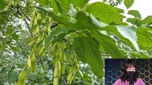 - Какой развод, кому ты нужна - муж насмехался над женой, вернувшись от любовницы...