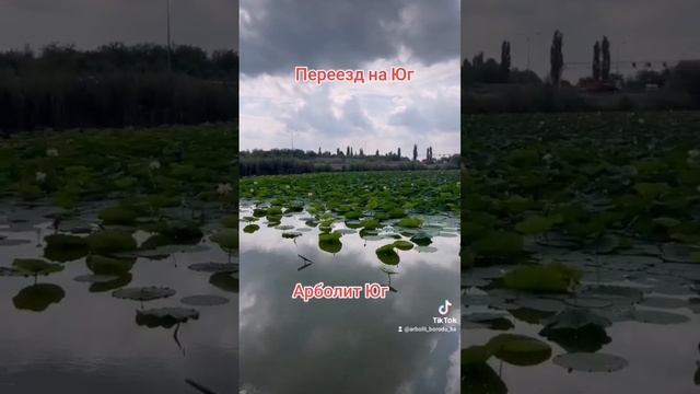 #89186922458 #краснодарскийкрай #недвижимость #арболит смотреть онлайн