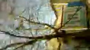 пацан сбежал из психушки 4