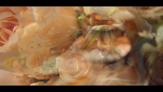 Сборы жениха и невесты смотреть онлайн