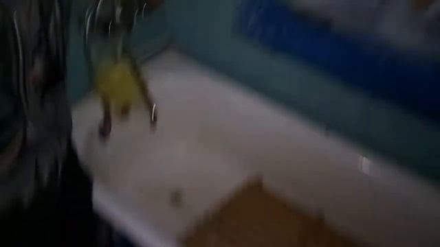 (Димон Путешественник )ХАТА - НАЧАЛО - №1 смотреть онлайн