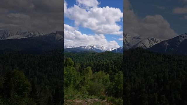 Гузерипль смотреть онлайн