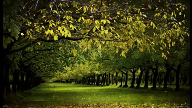 Природа, красота весны,the beauty of spring смотреть онлайн