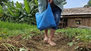 Police officer Nam sadly left and did not return home, his wife was worried