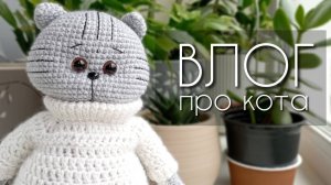 Вся в вязании кота