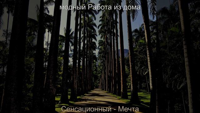 Умопомрачительных (Эхо) Социальное дистанцирование