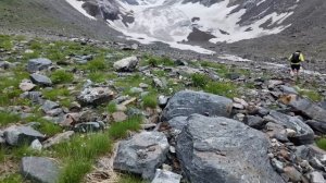 Получив в наследство убыточную фирму отца, богачка отдала кресло директора бродяге на месяц…