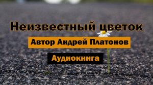 Неизвестный цветок А.П.Платонов Аудиокнига #аудиокнига #аудиокниги #цветок