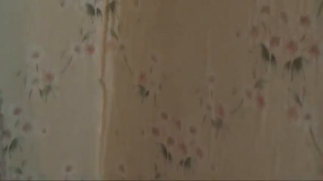 Васильків, Карла Лібкнехта, буд. 1, 4-й під'їзд, тех.поверх - 4 смотреть онлайн