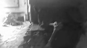 Бульдозер 10.07.2011