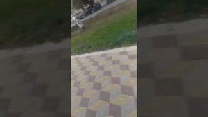 Глава Апанасенковского  Района