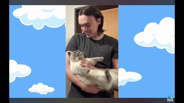 видео от натура Алла альбертовича и Алекс лона и послание