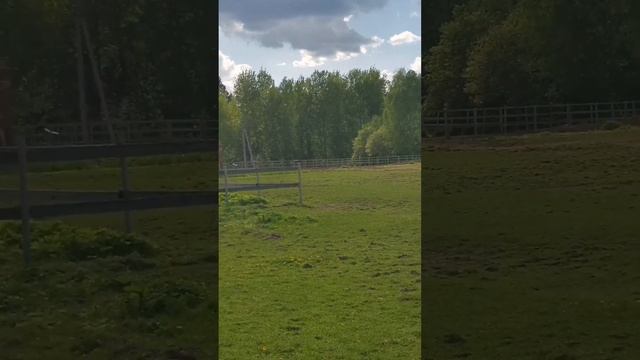 дом пос. Буденовец ✅ смотреть онлайн