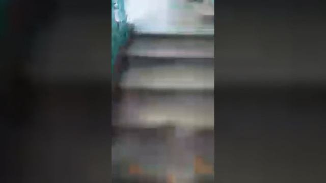 Неадекватные соседи