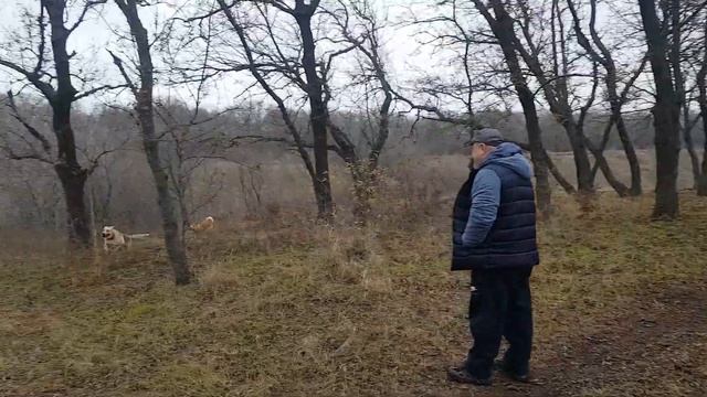 03.01.2021 Соловьиная роща смотреть онлайн