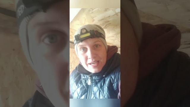 НОВОСЕЛЬЕ БАЙКАЛА #кавказец #кавказскаяовчарка #моясобака❤