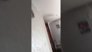 Сочи Green palace