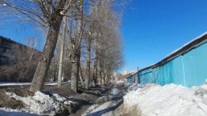 Ул. Героев Труда. Академгородок. Новосибирск. 17.03.23.