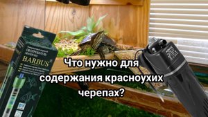что нужно для содержания красноухих черепах?