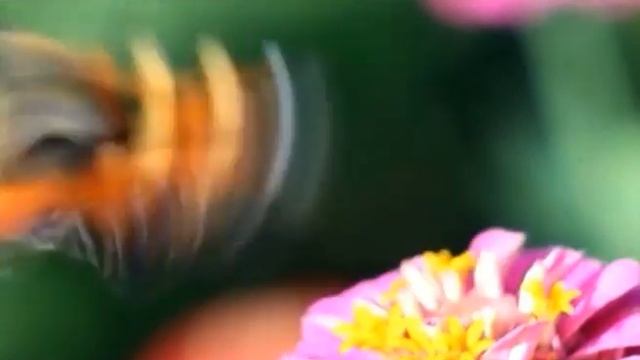 СТРОЙЭКСПЕРТ смотреть онлайн