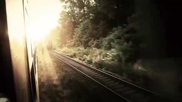 ТАЁЖНЫЕ БАЙКИ ПОПУТЧИКА | ТАЁЖНЫЕ ИСТОРИИ