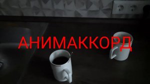 Анимаккорд заставка