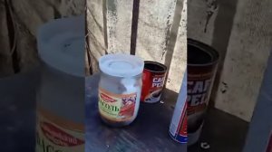 опыты с тараканами поможет ли дихлофос