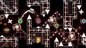 GOLDEN PARACOSM 100%