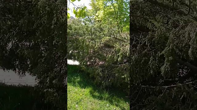 7 мая 2023 г. смотреть онлайн