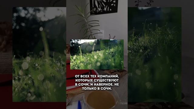 Компания для привлечения инвесторов - цели Инвестиции в недвижимость Сочи | Купить дом в Сочи смотреть онлайн