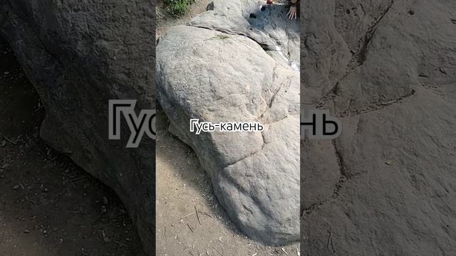 Место силы в Коломенском - Гусь-камень