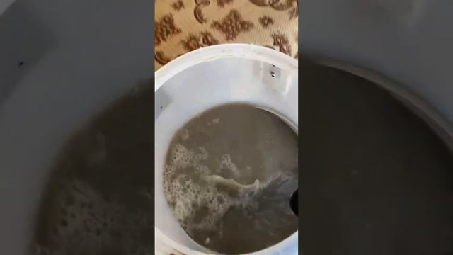 Уборка квартиры в Гродно 💦