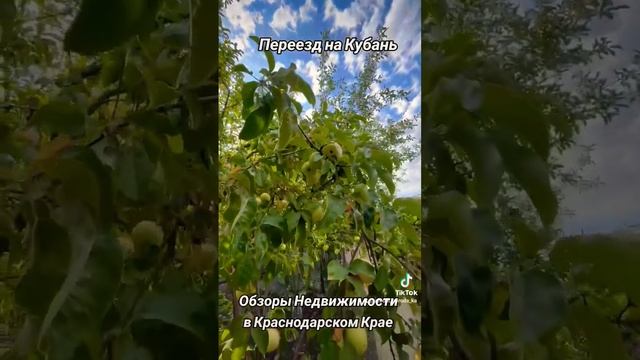 Продажа Домов ст Каневская Каневской Район Краснодарский Край
