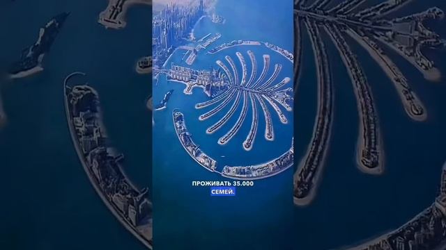 Новой Пальме В Дубае Быть! 🌴🥳 #иммиграция #дубай #жизньвдубае смотреть онлайн