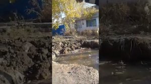 Город Аркалык