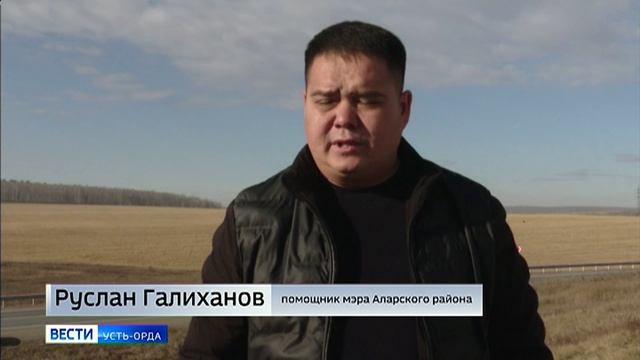 Семиметровую статую белого лебедя установили на въезде в Аларский район