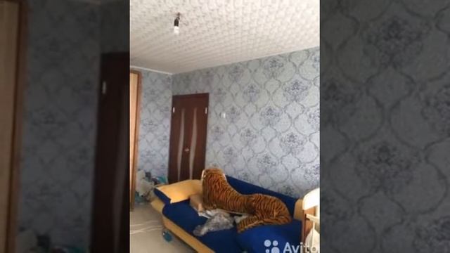 Продаю 1-кв квартиру Новомосковск 31м2 смотреть онлайн