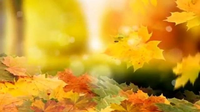 Предвкушение. Ночное вдохновение