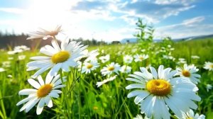 -Если ты не пропишешь моего сына в своей квартире - дверь не открою! -заявила свекровь. Но вскоре..