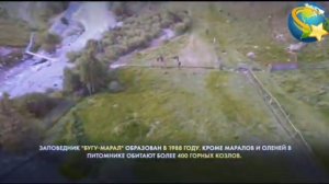 Kyrgyzstan. Naryn. Village Tash-Bashat. Reindeer nursery. Кыргызстан.Нарын.Таш-Башат айлы.Бугу мара