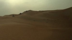 Desert Safari - Abu Dhabi UAE