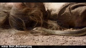 Наш Бог, Всемогущий Бог.(Автор: Рич Маллинз.)Прославление.