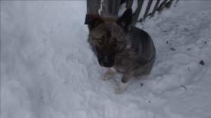 Экстремальные морозы. – 50 в Сибири