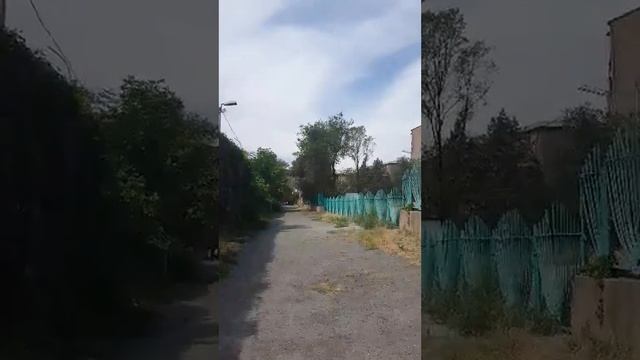 Ереван, двор папиного детства. ул. Толбухина. 29.08.2023г.