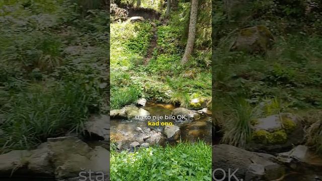 Nudi nam milione, a mi nećemo! #storytime #storytelling #divcibare #odmor #skyapartmanidivcibare смотреть онлайн