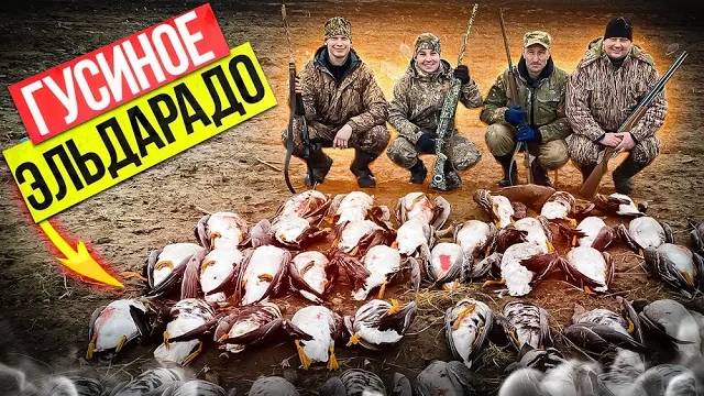 Охота на гуся 2022. Охота на гуся в Беларуси 9.04.22 смотреть онлайн