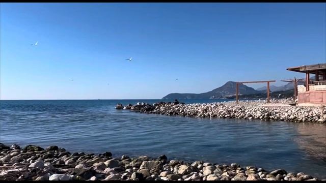 ЗАПЛАТИЛА НАЛОГ В БАРЕ(ЧЕРНОГОРИЯ)