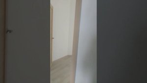 Реновация двушка