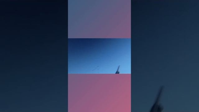 Охота на гуся #охота #охотанагуся #hunter #hunt #гусь #рыбалка #hunting #hunterxhunter смотреть онлайн