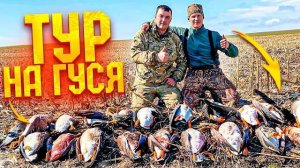 В тур за гусем! Охота на гуся 2023. Охота на гуся в Беларуси 6.04.23